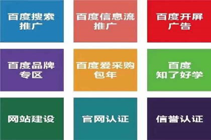 竞价广告案例分析：品牌成功之道