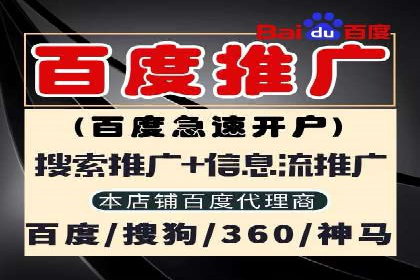 专业SEM托管服务，案例展示精准营销成果